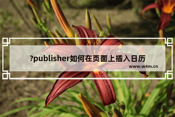 ?publisher如何在页面上插入日历