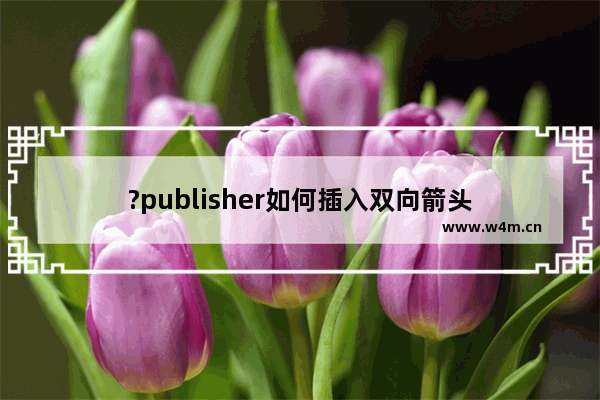 ?publisher如何插入双向箭头