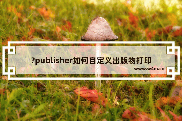 ?publisher如何自定义出版物打印的范围