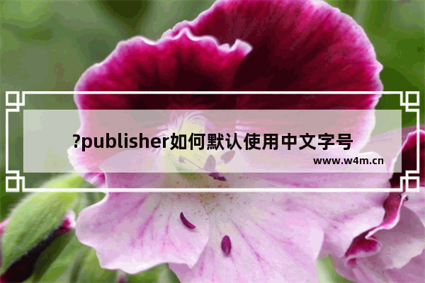 ?publisher如何默认使用中文字号