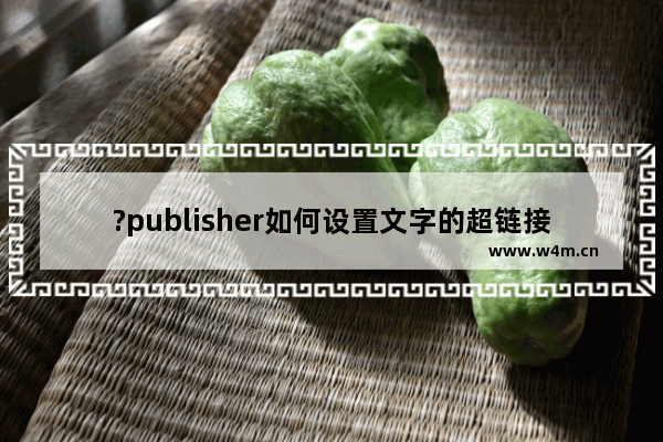 ?publisher如何设置文字的超链接