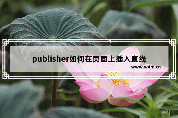 publisher如何在页面上插入直线