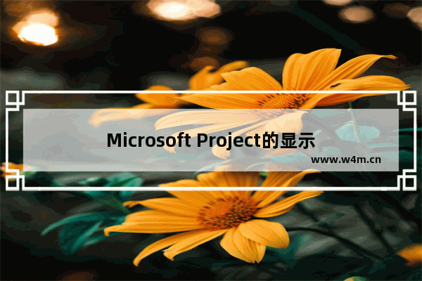 Microsoft Project的显示语言中文设置为英语的教程