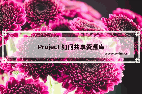 Project 如何共享资源库