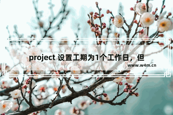 project 设置工期为1个工作日，但开始时间与结束时间不是同一天，如何解决或者是设置