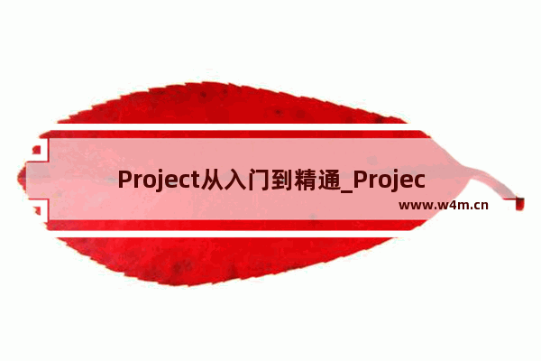 Project从入门到精通_Project里程碑设置方法（2种）什么是里程碑设置