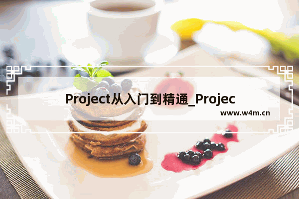 Project从入门到精通_Project任务列表多日历设置基础教程