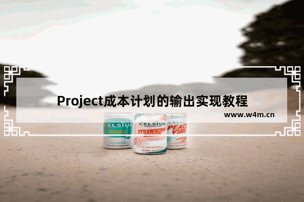 Project成本计划的输出实现教程