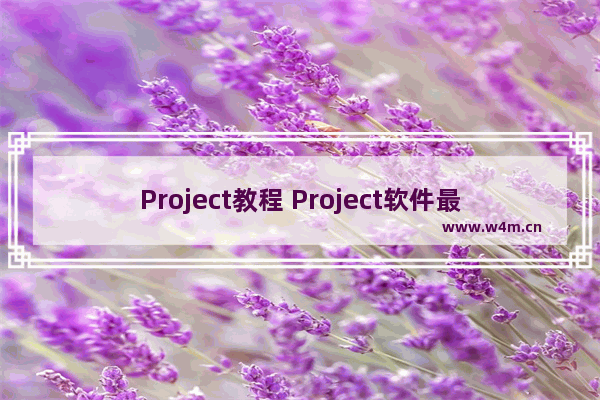 Project教程 Project软件最左侧的数字列可以修改吗？