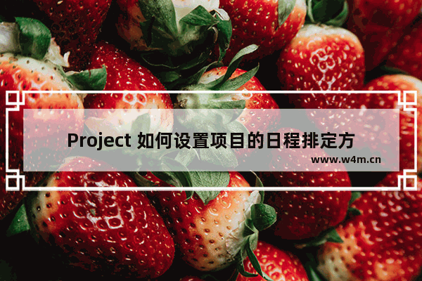 Project 如何设置项目的日程排定方式