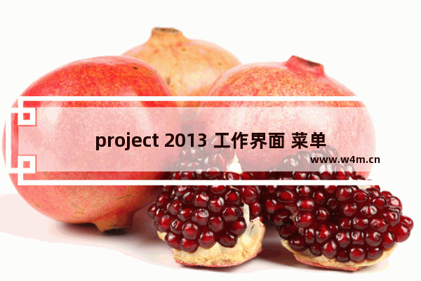 project 2013 工作界面 菜单栏 功能使用实例教程