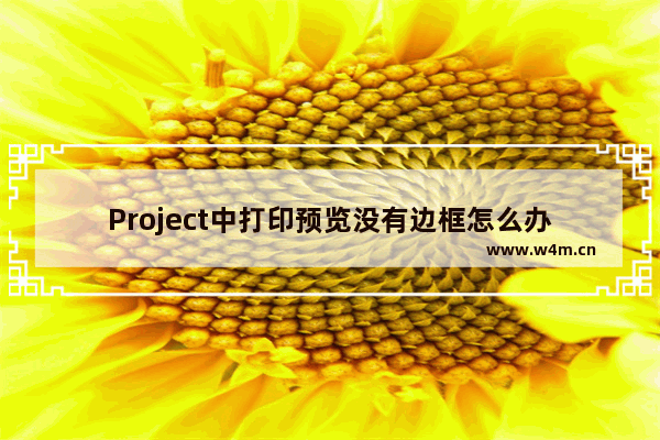 Project中打印预览没有边框怎么办