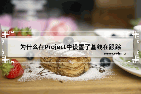 为什么在Project中设置了基线在跟踪甘特图中看不到基线的条形图