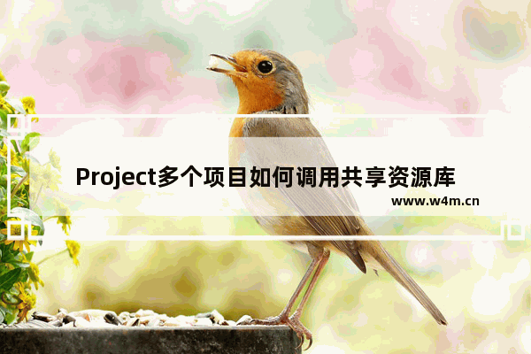 Project多个项目如何调用共享资源库