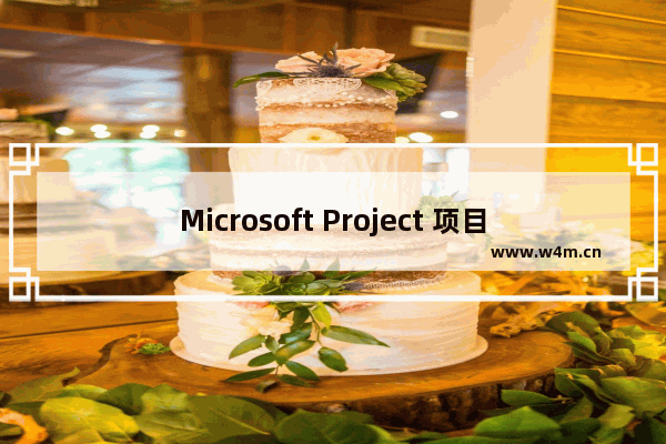 Microsoft Project 项目管理工具软件介绍