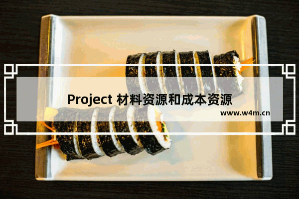 Project 材料资源和成本资源