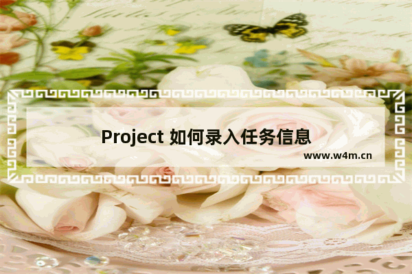 Project 如何录入任务信息