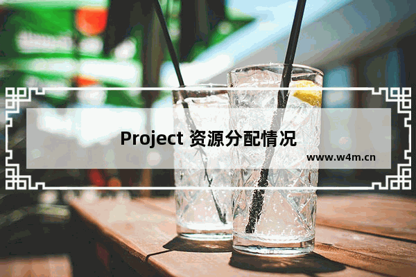 Project 资源分配情况