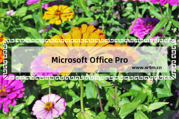 Microsoft Office Project 介绍