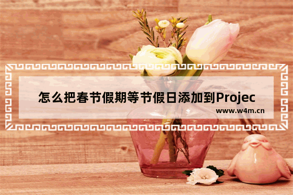 怎么把春节假期等节假日添加到Project日历中