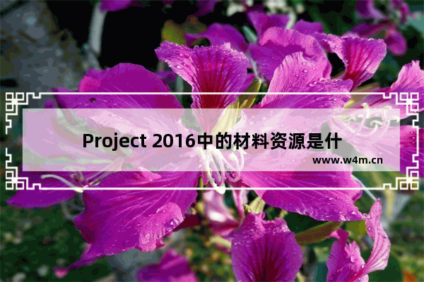 Project 2016中的材料资源是什么？