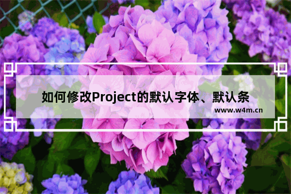 如何修改Project的默认字体、默认条形图样式