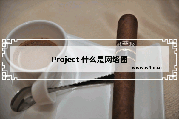 Project 什么是网络图