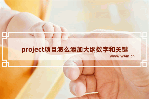 project项目怎么添加大纲数字和关键路径?