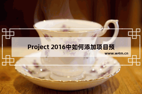 Project 2016中如何添加项目预算？