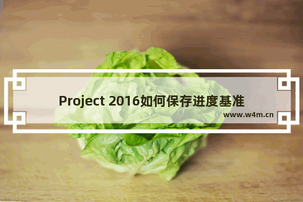 Project 2016如何保存进度基准