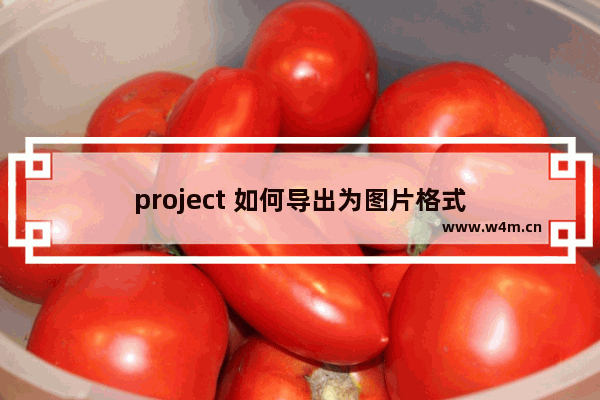 project 如何导出为图片格式