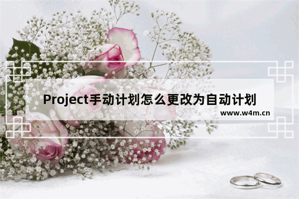 Project手动计划怎么更改为自动计划?