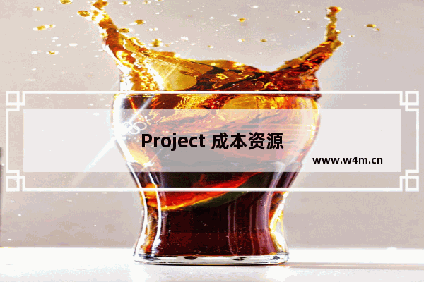 Project 成本资源