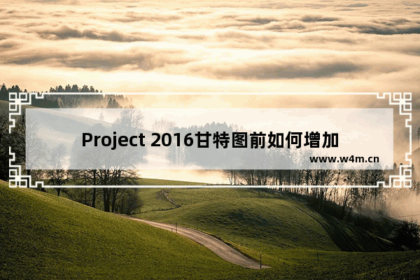 Project 2016甘特图前如何增加ID号？