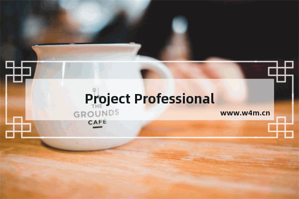 Project Professional自动模式工作日工时问题