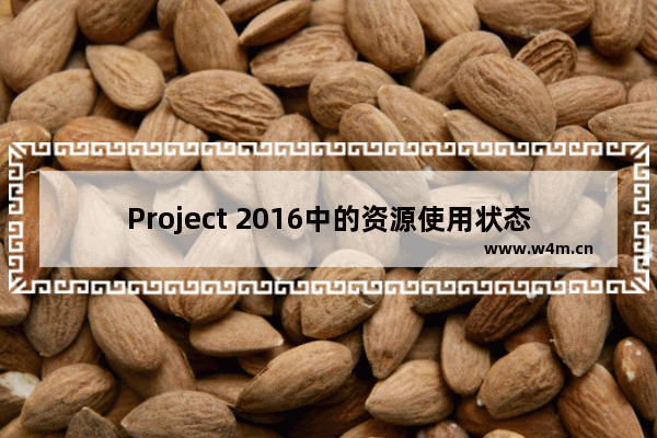 Project 2016中的资源使用状态表有什么用？