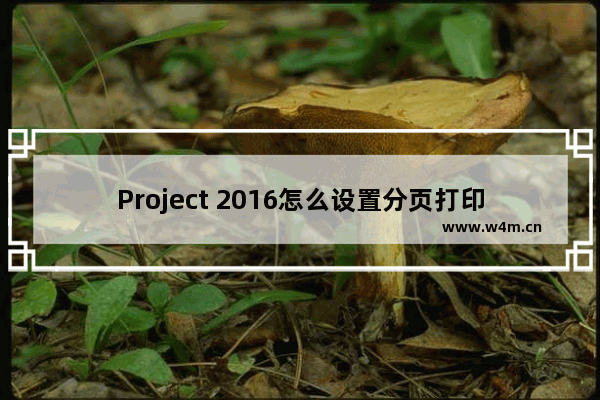 Project 2016怎么设置分页打印？