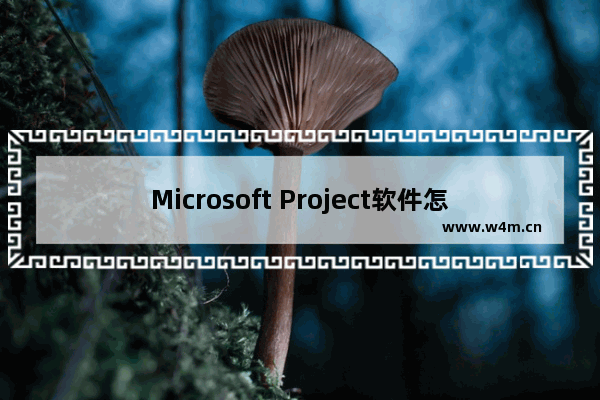 Microsoft Project软件怎么根据国家节假日设置工作日?