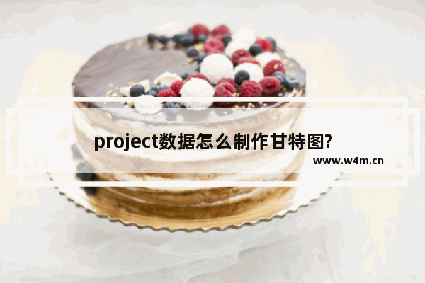 project数据怎么制作甘特图?