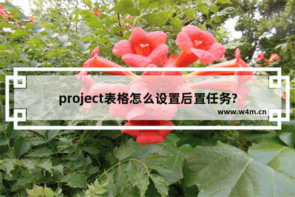 project表格怎么设置后置任务?