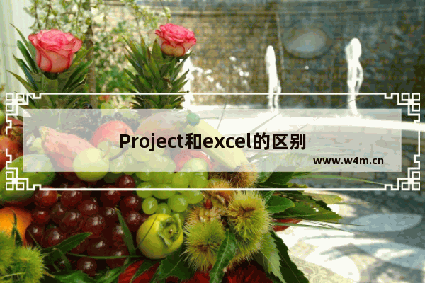 Project和excel的区别