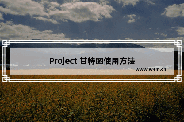 Project 甘特图使用方法