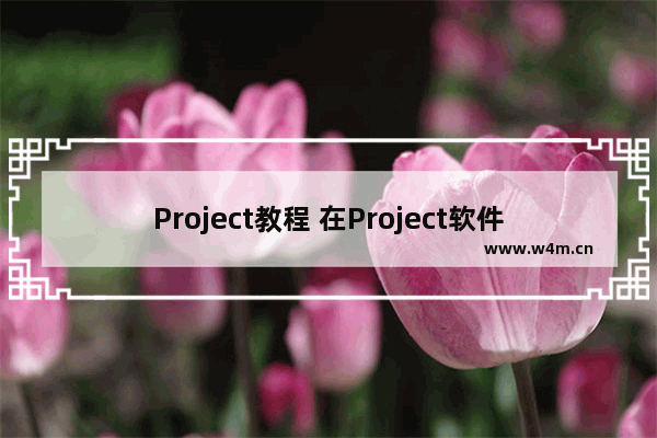 Project教程 在Project软件中如何对某个单元格使用删除线