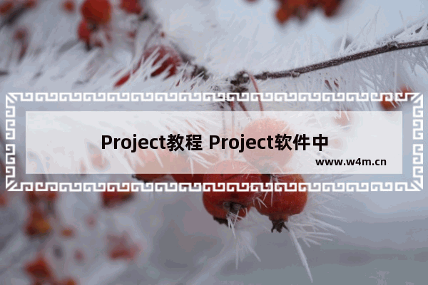 Project教程 Project软件中的任务停用功能