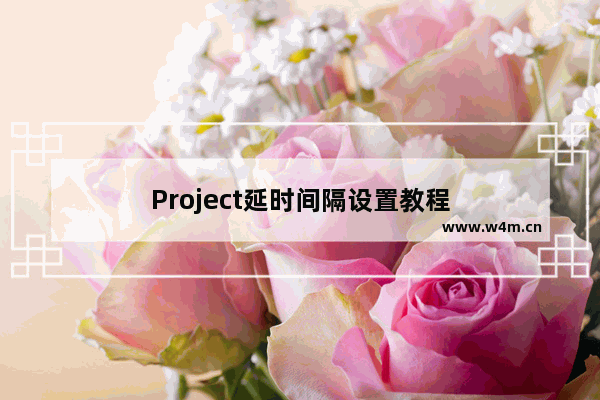 Project延时间隔设置教程