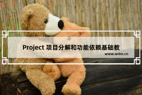 Project 项目分解和功能依赖基础教程