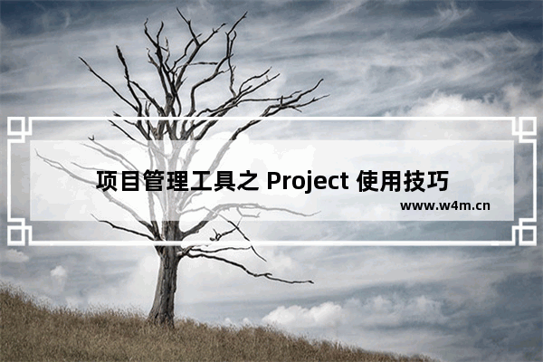 项目管理工具之 Project 使用技巧