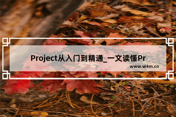 Project从入门到精通_一文读懂Project工期转换实用技巧