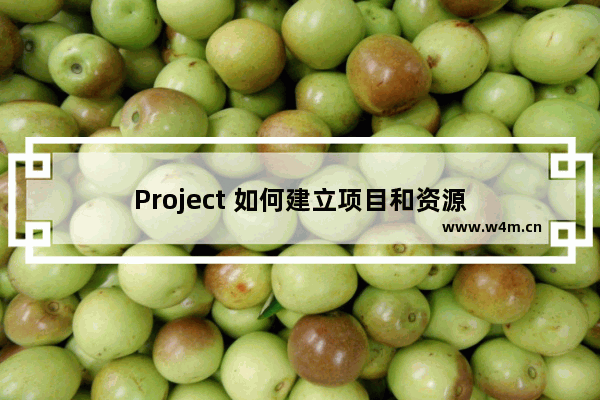 Project 如何建立项目和资源