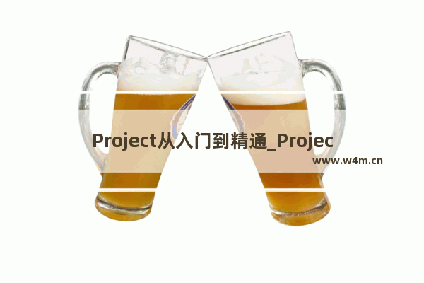 Project从入门到精通_Project下拉菜单的设置